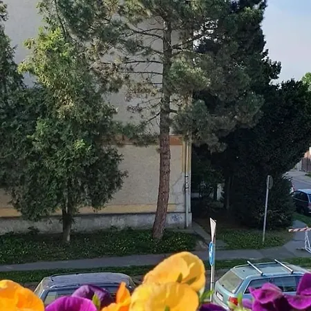 Karancs Apartman Salgótarján Exterior foto