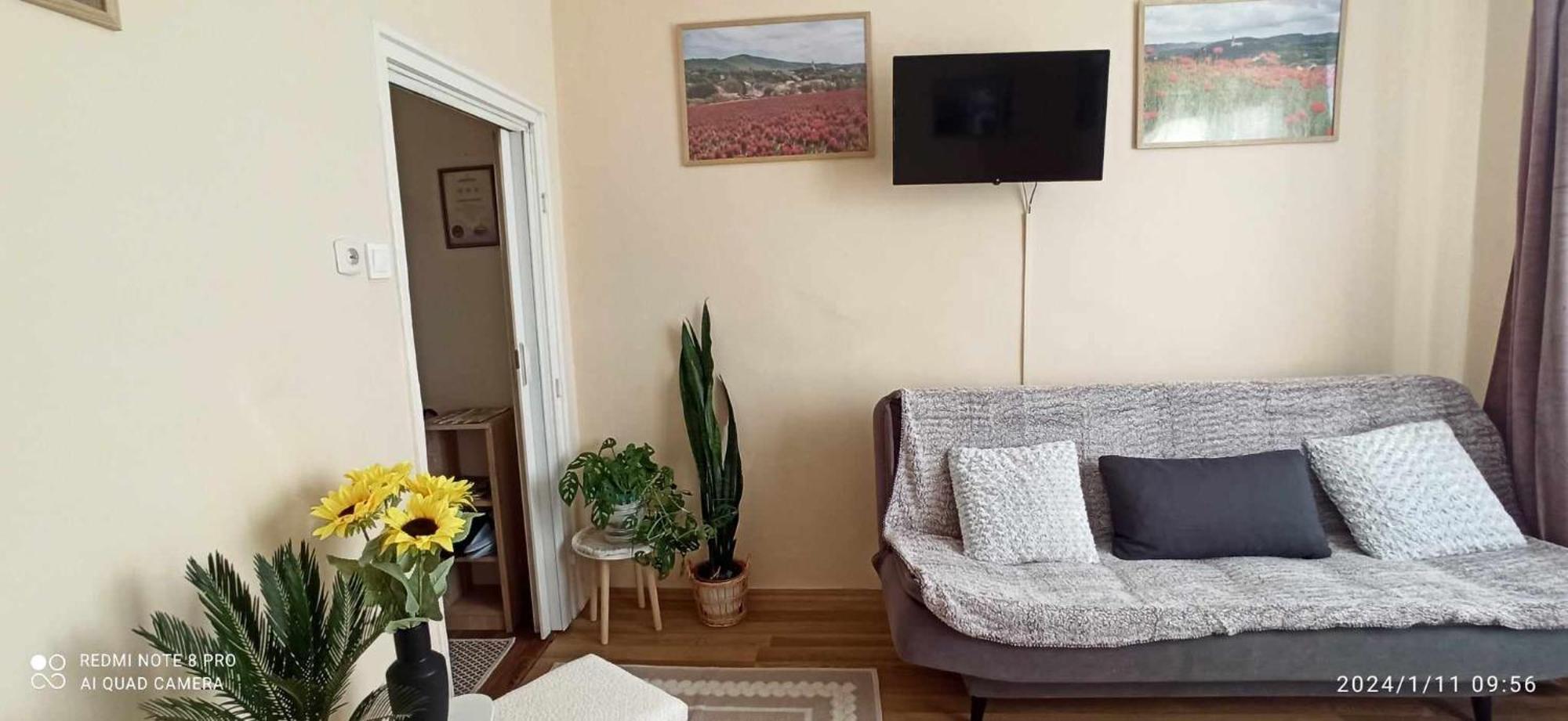 Apartment Karancs *
