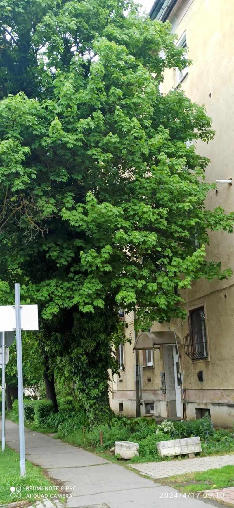 Karancs Apartment *